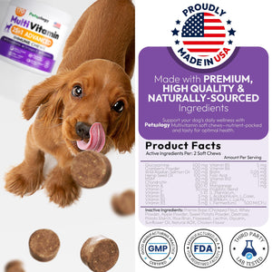 Dog Multivitamin Chewable   Dog Vitamins and Supplements with Glucosamine   170