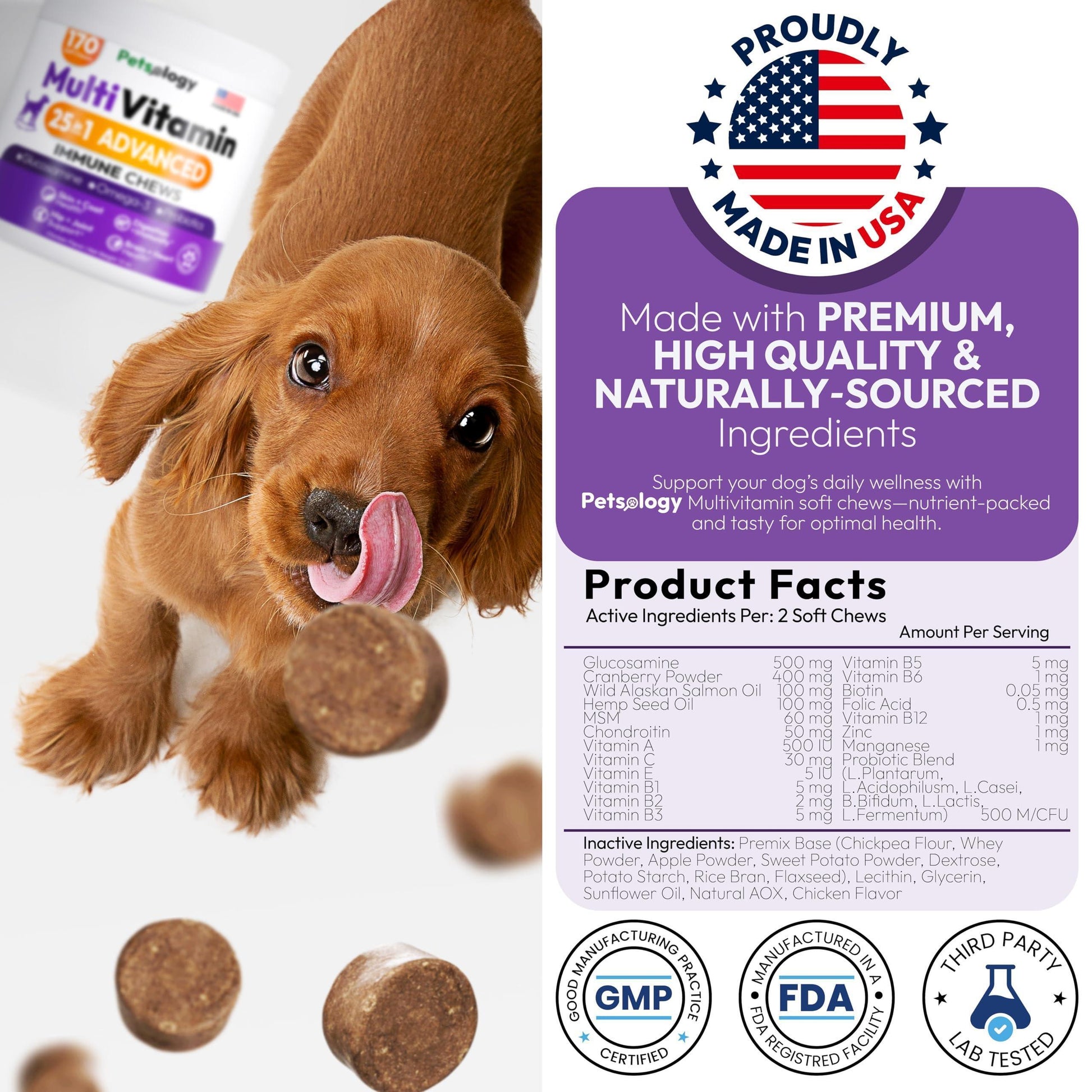 PETSOLOGY Dog Multivitamin and Hip & Joint Support with Glucosamine 170 Chews For Pet With Love