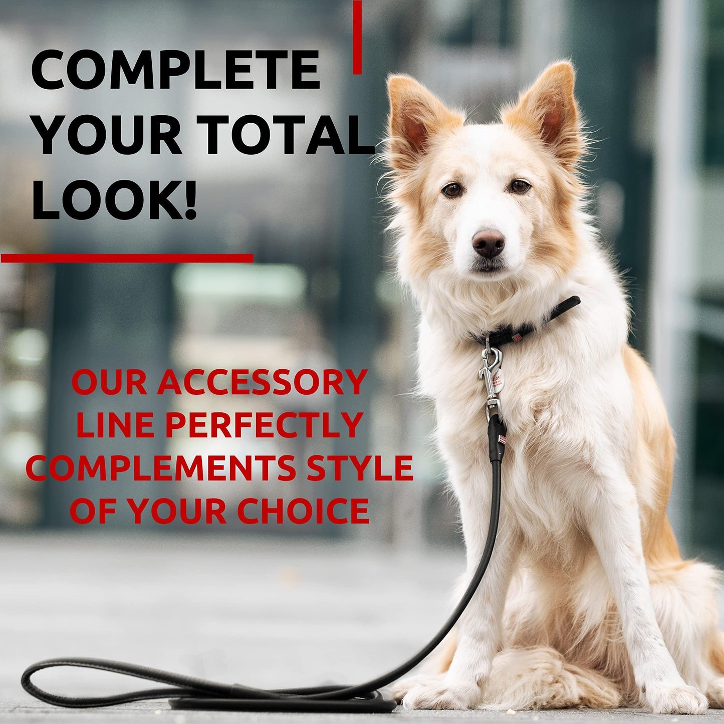 Rolled Leather Dog Leash 4Ft * 0.4 in for Small Medium and Large Dogs   Heavy For Pet With Love