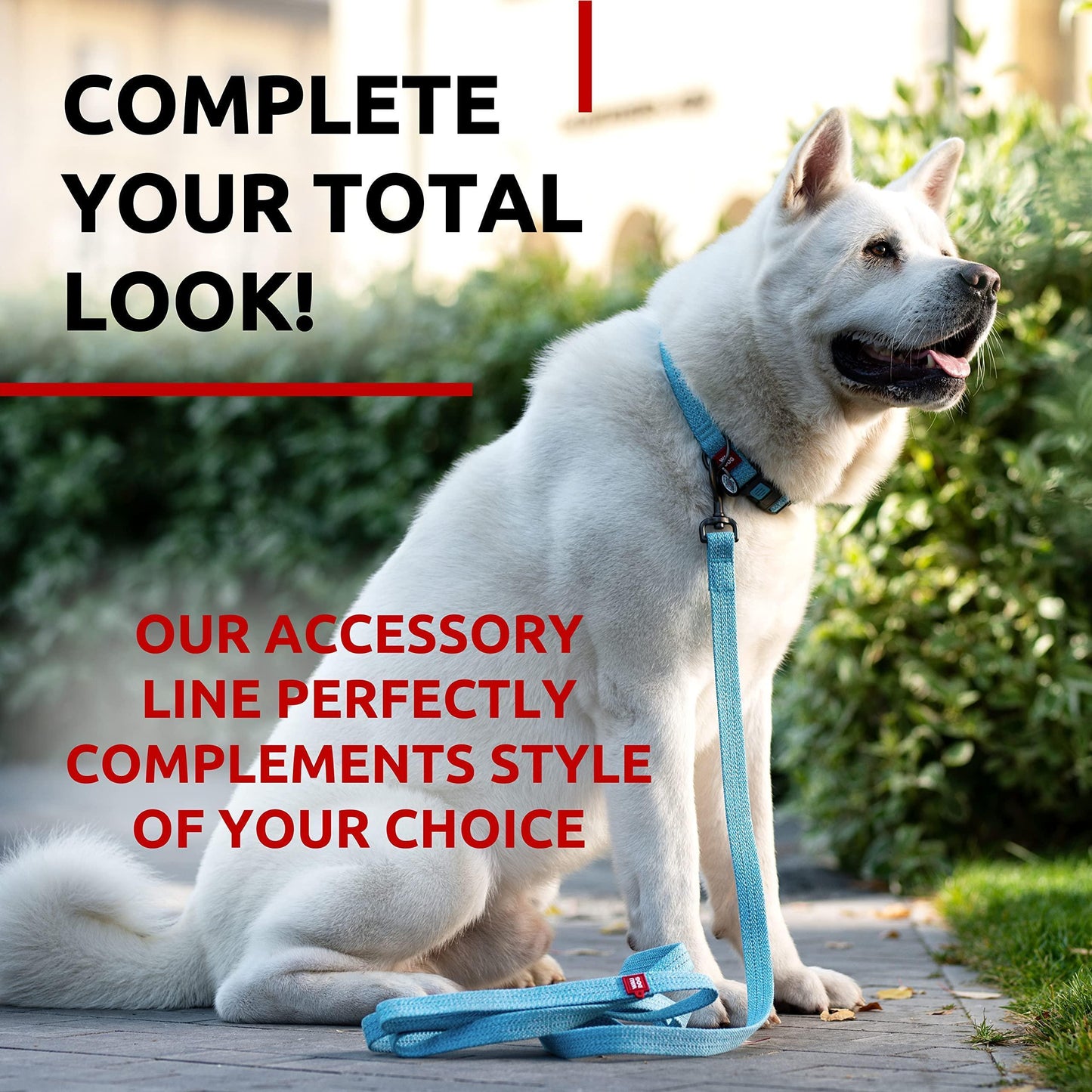 Recycled Cotton Dog Leash 6 Ft   10 Ft Eco Friendly Collar for Small Medium & For Pet With Love