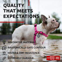 Load image into Gallery viewer, Waterproof Dog Harness   Adjustable Dog Harness for Large Dogs Small and Medium
