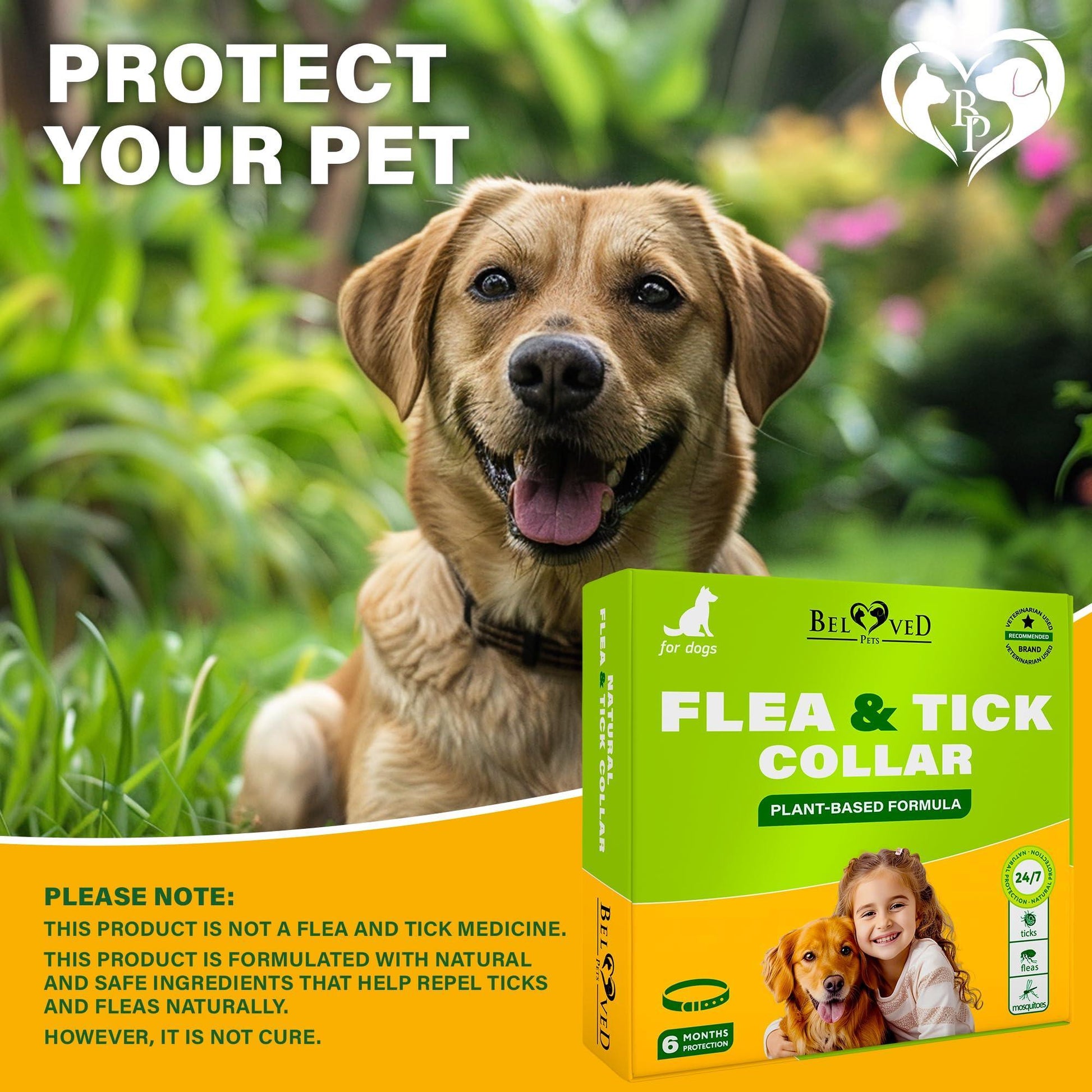 Beloved Pets Natural Anti Fleas and Ticks Essential Oil Repellent Collar for Dogs. 6 Months Control of Best Prevention & Safe Treatment. Pack of 1. For Pet With Love