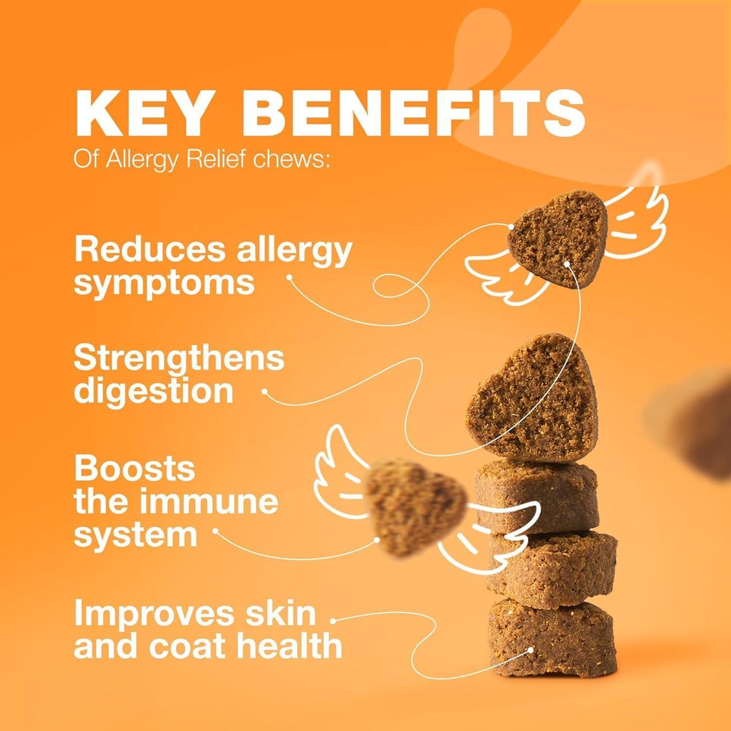 CHEWIA Dog Allergy Itch Relief Chews for Dogs. US Formulated Immune Health Seasonal Allergies & Hot Spots Support Treats with Salmon Oil (70 Chews. Duck Flavor) For Pet With Love