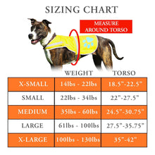 Load image into Gallery viewer, Dog Reflective Vest - Hi-Vis Safety Vest - Neon Yellow - X-Large
