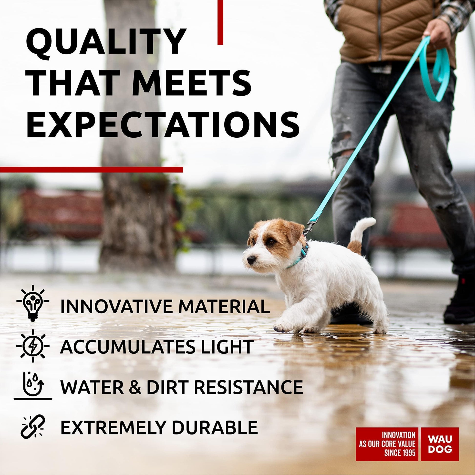 Waterproof Dog Leash 4 Ft   6 Ft   Anti Slip Dog Leash for Large Dogs Small and For Pet With Love