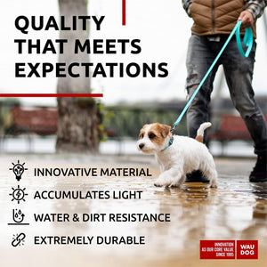 Waterproof Dog Leash 4 Ft   6 Ft   Anti Slip Dog Leash for Large Dogs Small and