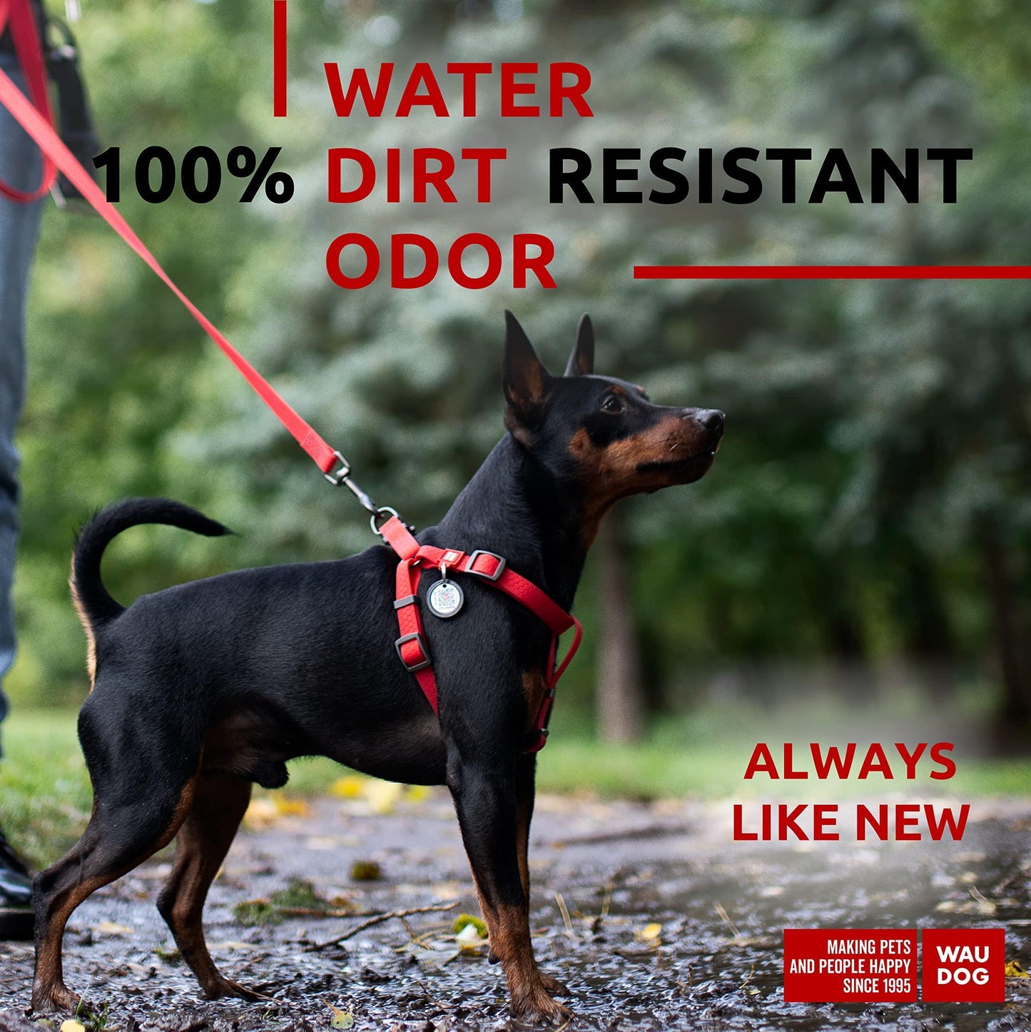 Waterproof Dog Harness   Adjustable Dog Harness for Large Dogs Small and Medium For Pet With Love