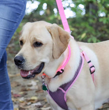 Load image into Gallery viewer, Coastal Pet Comfort Soft Sport Wrap Adjustable Dog Harness Pink
