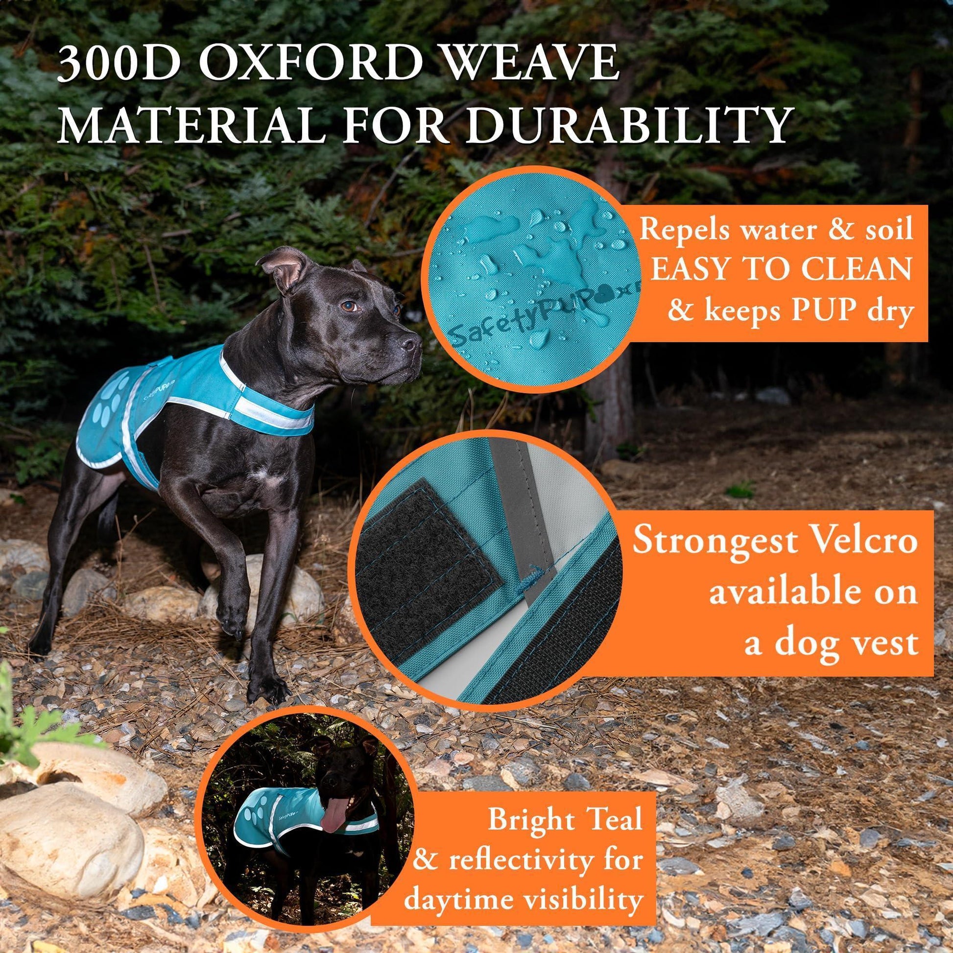 SafetyPUP XD Reflective Hi Vis Fluorescent Dog Safety Vest. Blue (LARGE) For Pet With Love
