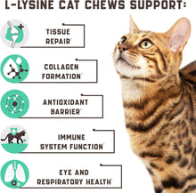 Load image into Gallery viewer, Kinpur Pet Care Lysine Cat Treats – Immune Support for Cats – Promotes Respiratory Health and Eye Function – Fortified with Vitamin B Calcium and Protein
