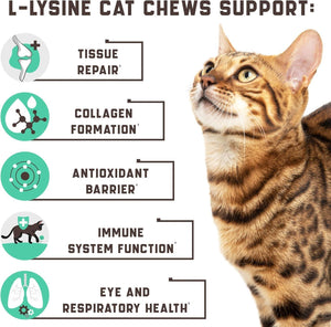 Kinpur Pet Care Lysine Cat Treats – Immune Support for Cats – Promotes Respiratory Health and Eye Function – Fortified with Vitamin B Calcium and Protein