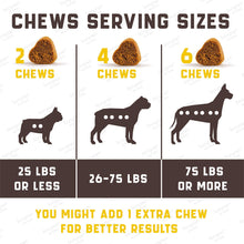 Load image into Gallery viewer, Kinpur Pet Care Probiotic Treats for Dogs 180 Chews
