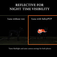 Load image into Gallery viewer, SafetyPUP XD Hi-Visibility Reflective Fluorescent Blaze Orange Dog Vest (Small)
