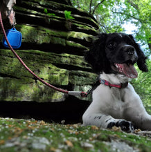 Load image into Gallery viewer, Coastal Pet K9 Explorer Reflective Braided Rope Dog Leash Berry
