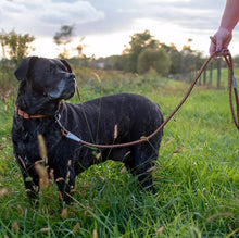 Load image into Gallery viewer, Coastal Pet K9 Explorer Reflective Braided Rope Dog Leash Berry
