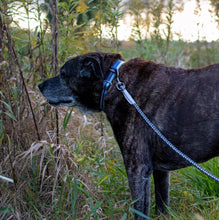 Load image into Gallery viewer, Coastal Pet K9 Explorer Reflective Braided Rope Dog Leash Berry
