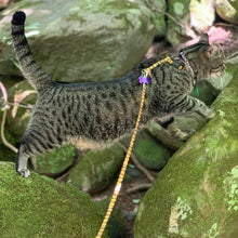 Load image into Gallery viewer, Coastal Pet Lazer Brite Reflective Adjustable Breakaway Cat Collar Red Bubbles
