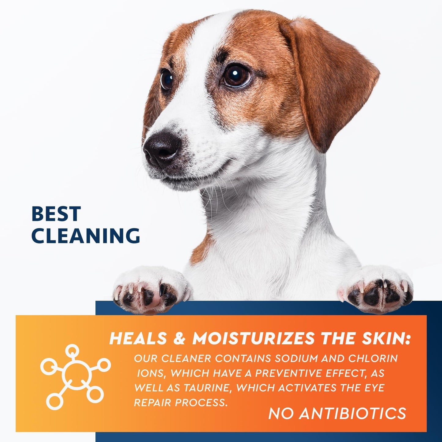 Beloved Pets All Pets Eye Wash Drops for Pink Eye Relief, Infections & Runny Dry Eyes 3.4 Oz For Pet With Love