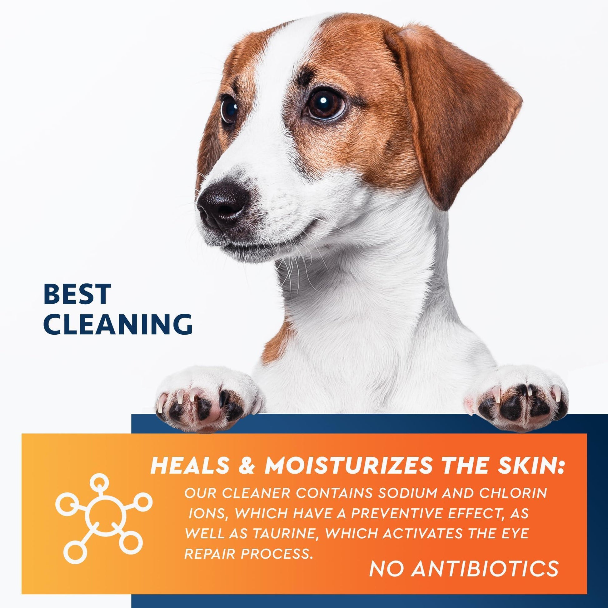 Beloved Pets All Pets Eye Wash Drops for Pink Eye Relief, Infections & Runny Dry Eyes 3.4 Oz For Pet With Love