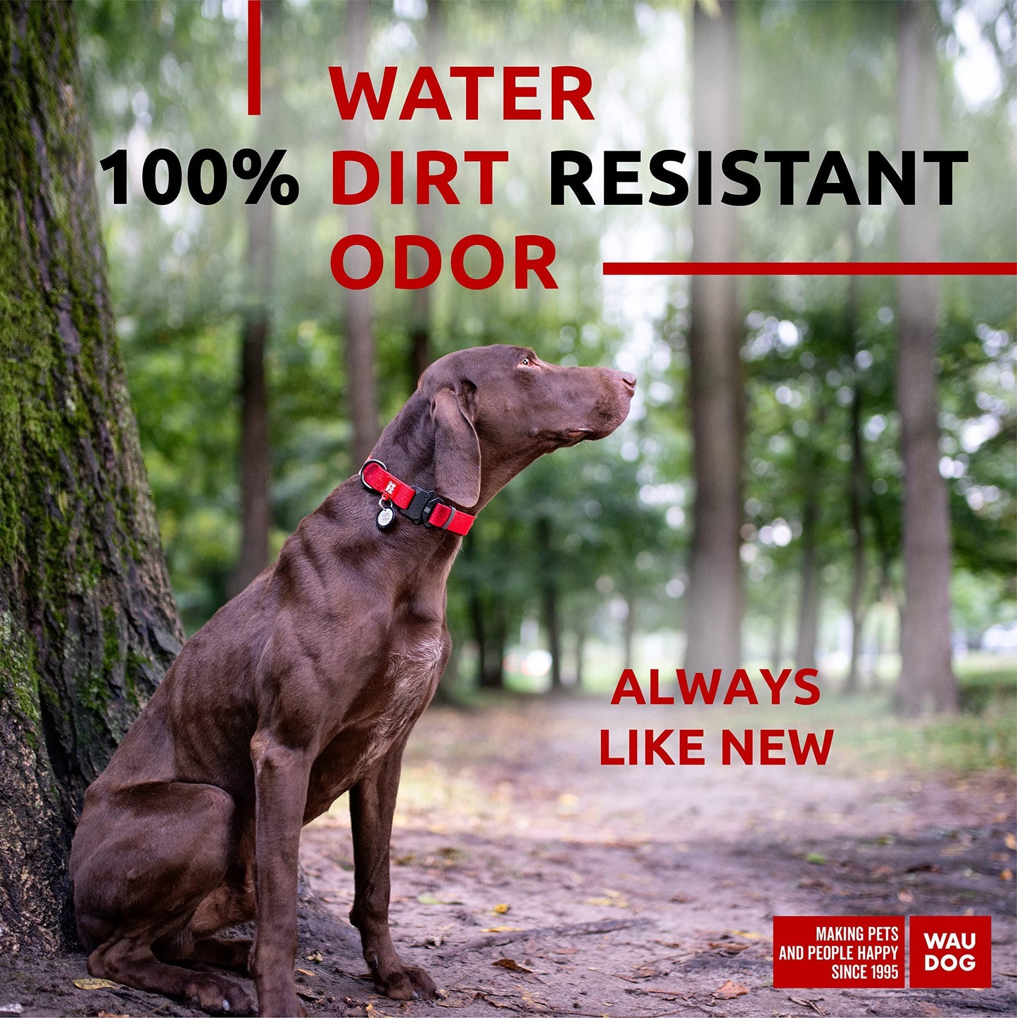 WAUDOG Heavy Duty Waterproof Dog Collar with Durable Metal Clasp and QR Dog Tag. LARGE For Pet With Love