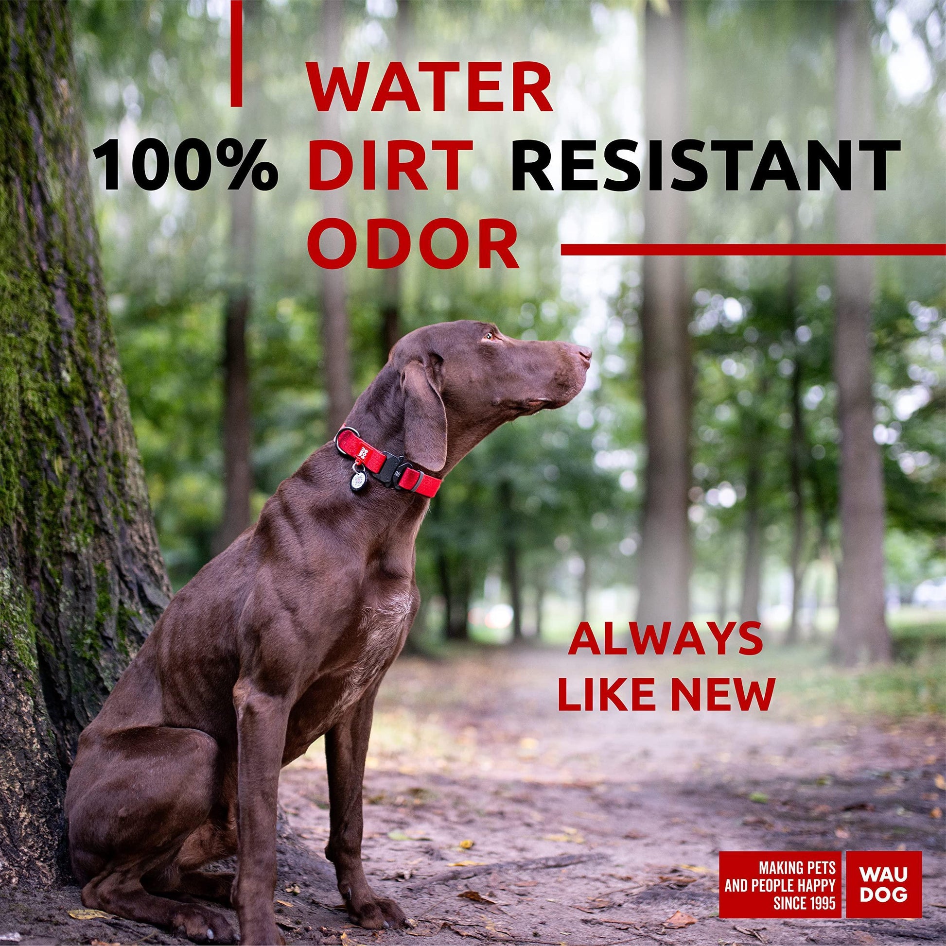 WAUDOG Heavy Duty Waterproof Dog Collar with Durable Metal Clasp and QR Dog Tag. LARGE For Pet With Love