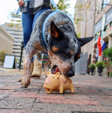 Load image into Gallery viewer, Coastal Pet Rascals Latex Grunting Pig Dog Toy Orange
