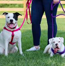 Load image into Gallery viewer, Coastal Pet Single-Ply Nylon Dog Leash Bright Pink
