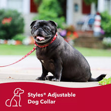Load image into Gallery viewer, Coastal Pet Styles Adjustable Dog Collar Red Bones
