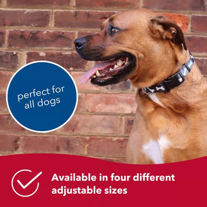 Coastal Pet Styles Adjustable Dog Collar Red Bones
