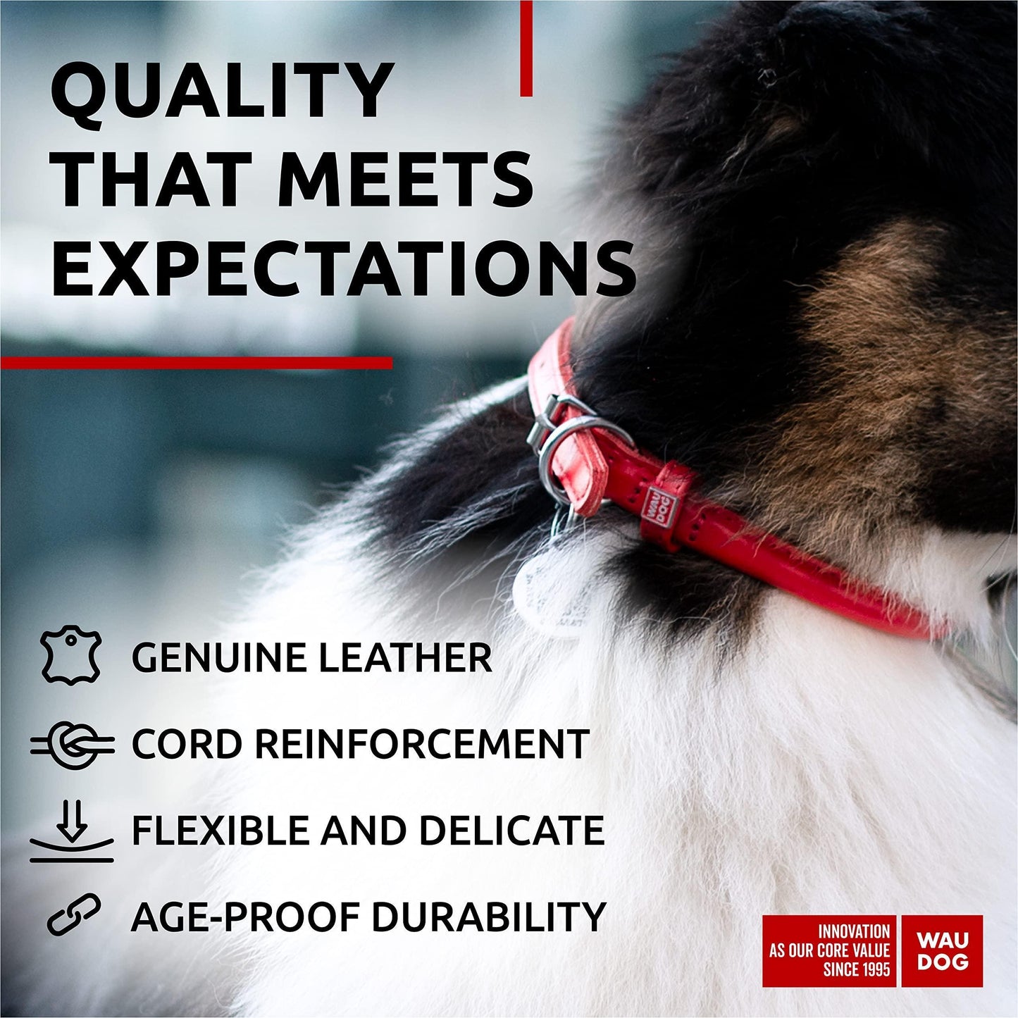 WAUDOG Ultra Soft Rolled Leather Dog Collar for Small Dogs   Soft Padded Dog For Pet With Love