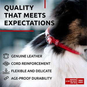 WAUDOG Ultra Soft Rolled Leather Dog Collar for Small Dogs   Soft Padded Dog
