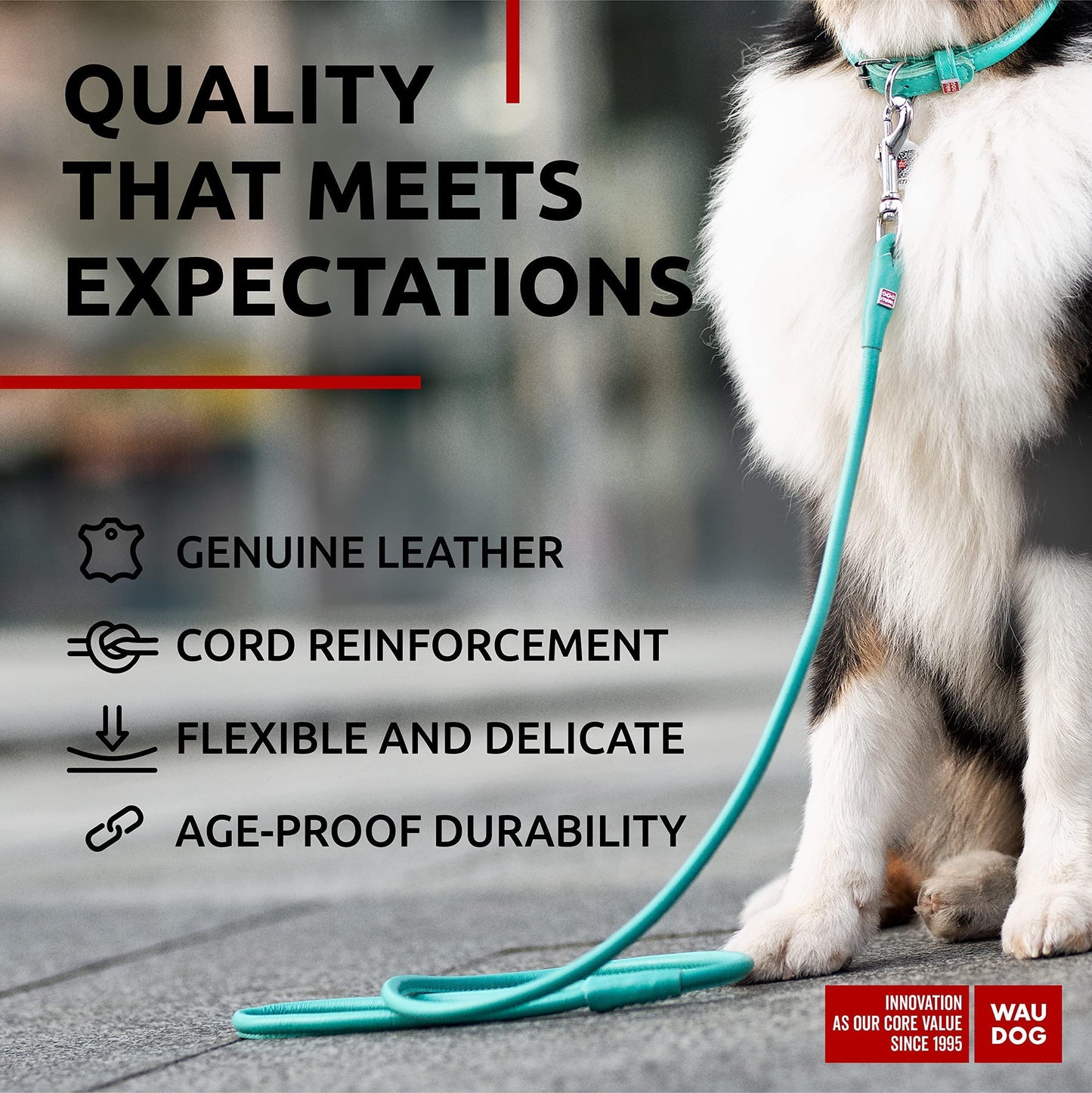 WAUDOG Rolled Leather GLAMOUR Dog Leash 4Ft X 0.5in (Mint) For Pet With Love