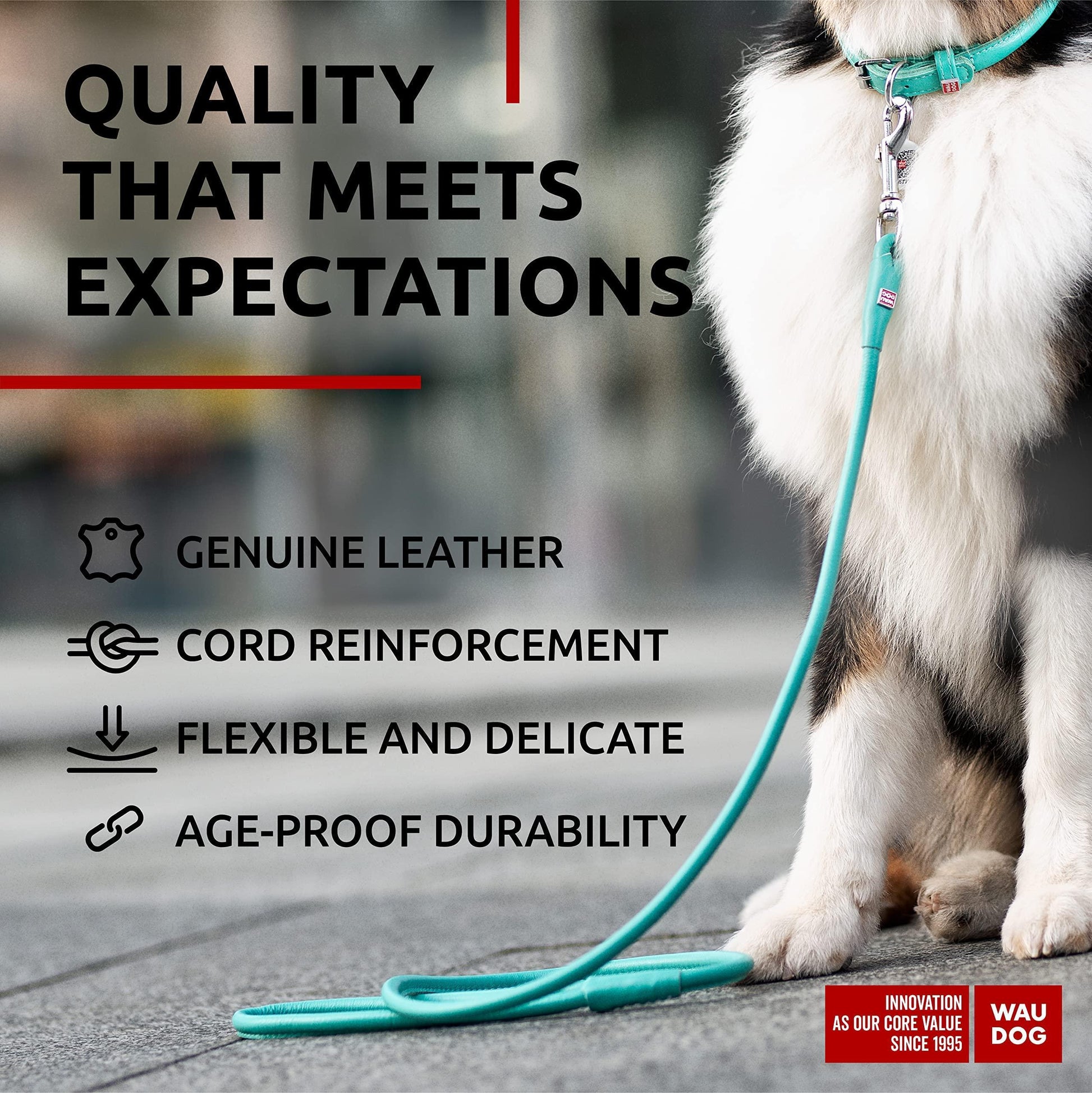 WAUDOG Rolled Leather GLAMOUR Dog Leash 4Ft X 0.5in (Mint) For Pet With Love