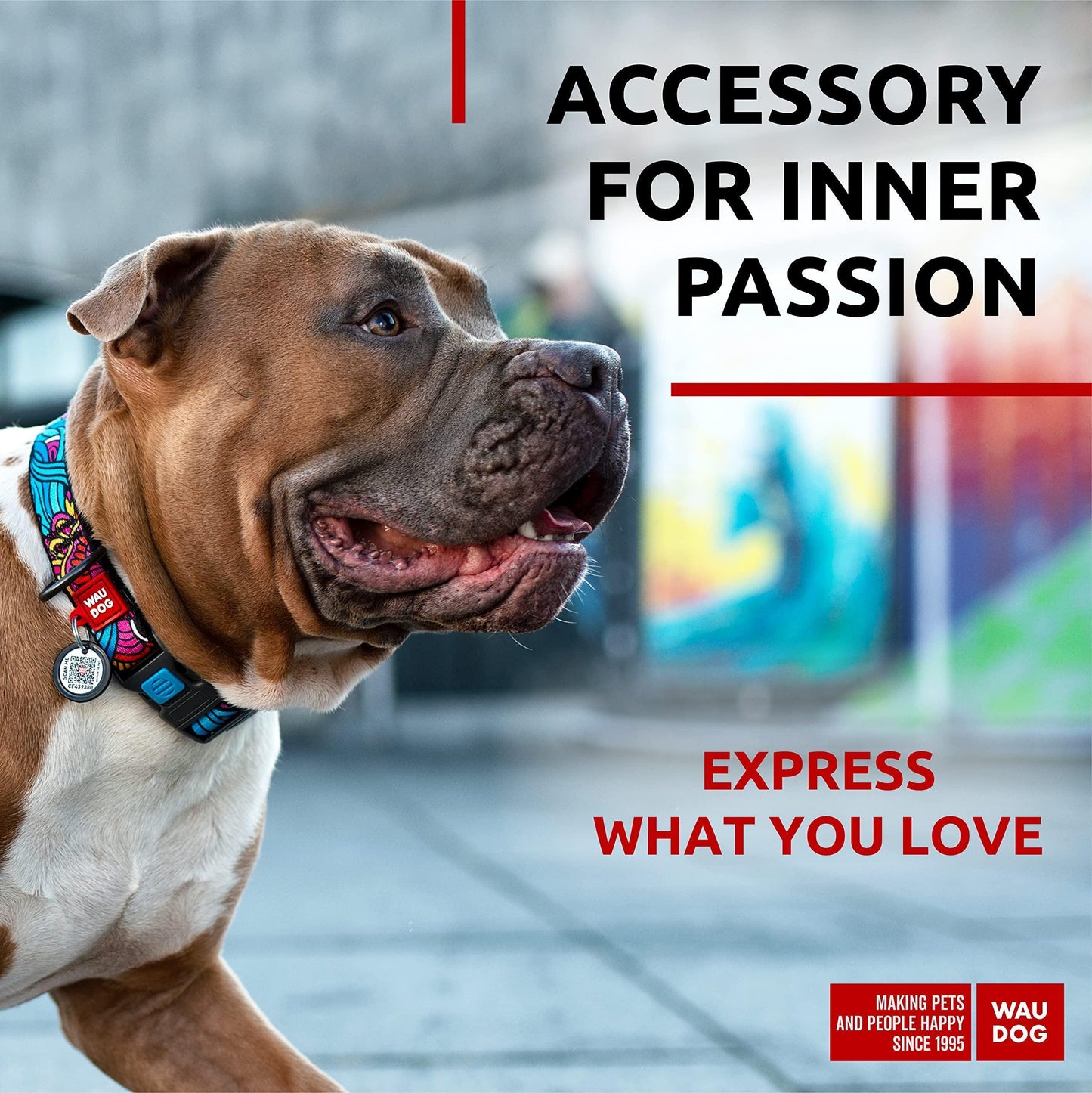 WAUDOG Nylon Adjustable Dog Collar with Durable Plastic Buckle and QR Dog Tag SUMMER LARGE For Pet With Love