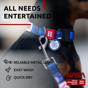 WAUDOG Nylon Dog Leash for Small Dogs and Medium Dogs 4 Ft   Strong Dog Leash