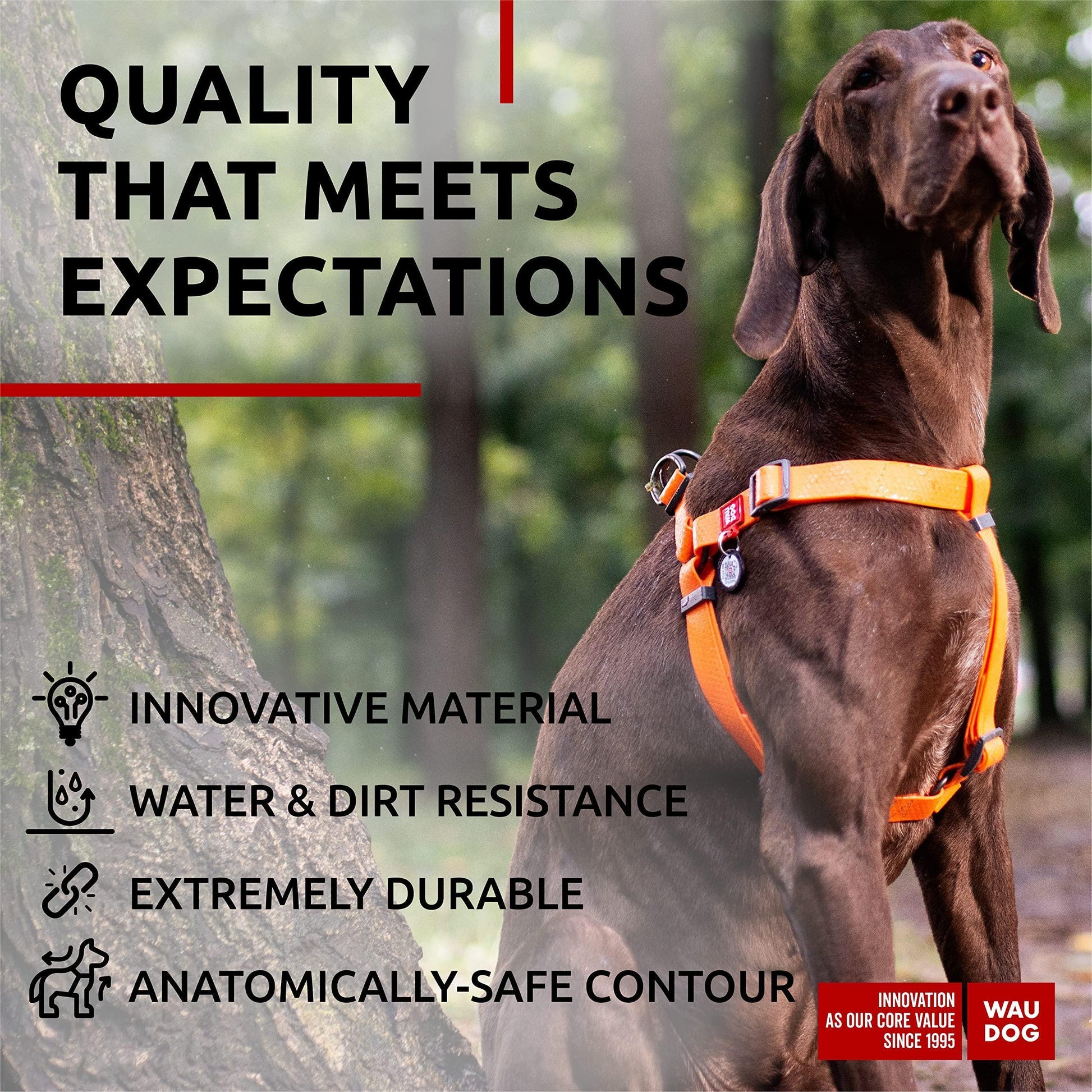 WAUDOG Waterproof Dog Harness   Adjustable Dog Harness for Large Dogs Small and For Pet With Love
