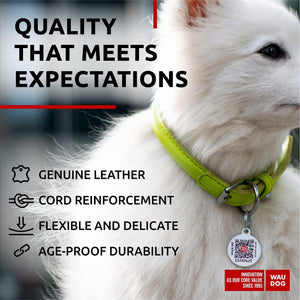 Ultra Soft Rolled Leather Dog Collar for Small Dogs   Soft Padded Dog Collars