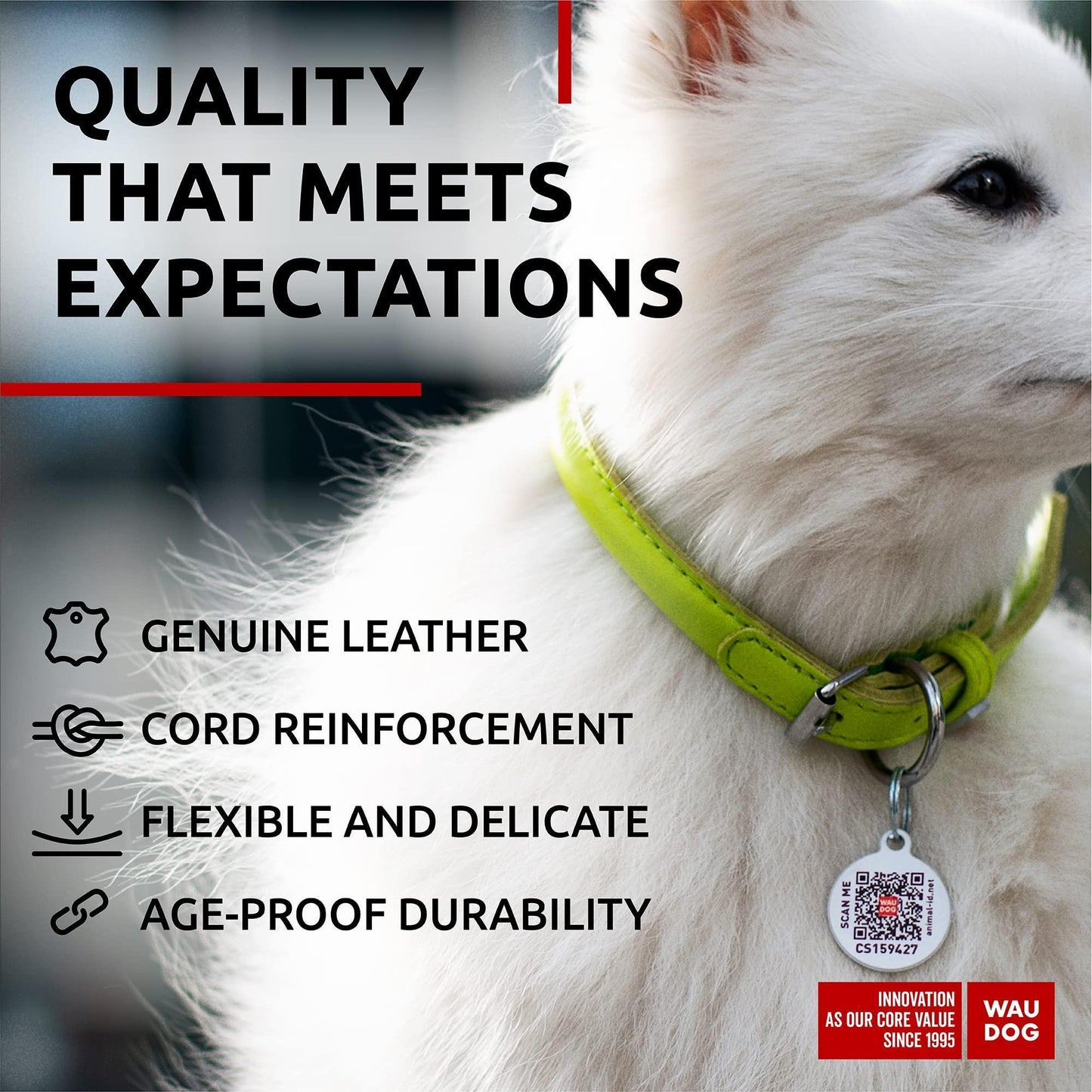WAUDOG Ultra Soft Rolled Leather Dog Collar GREEN XSMALL For Pet With Love