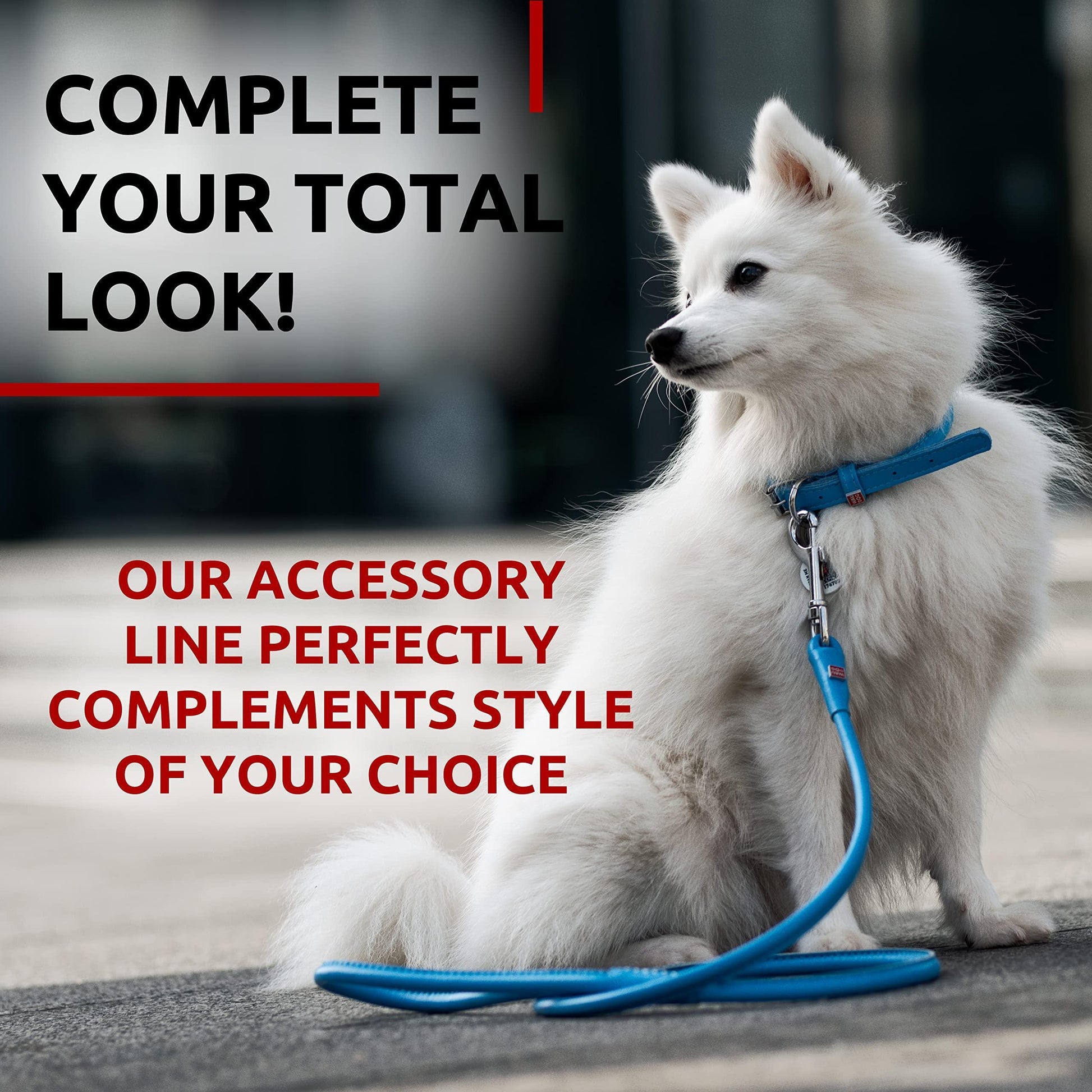 WAUDOG Rolled Leather Dog Leash 4Ft * 0.3 in for Small Medium and Large Dogs For Pet With Love