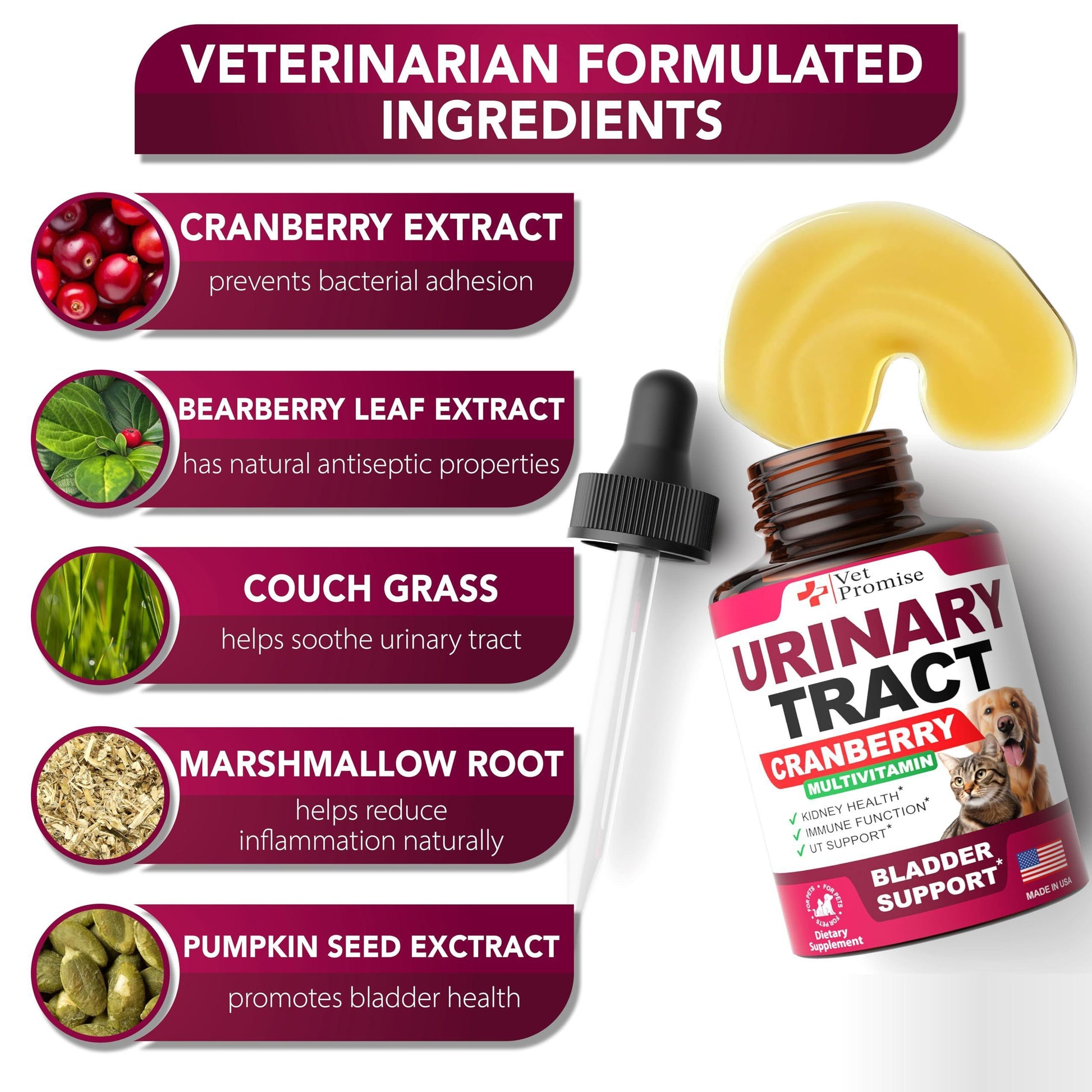 Vet Promise Cranberry UTI Drops, Bladder & Kidney Support Supplement for Cats & Dogs 2 oz For Pet With Love