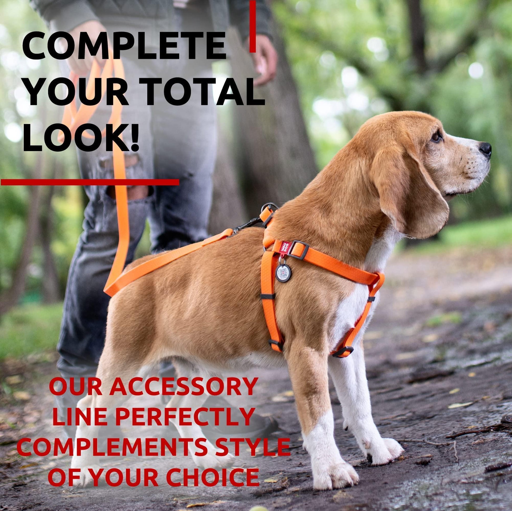 Waterproof Dog Leash 4 Ft   6 Ft   Anti Slip Dog Leash for Large Dogs Small and For Pet With Love