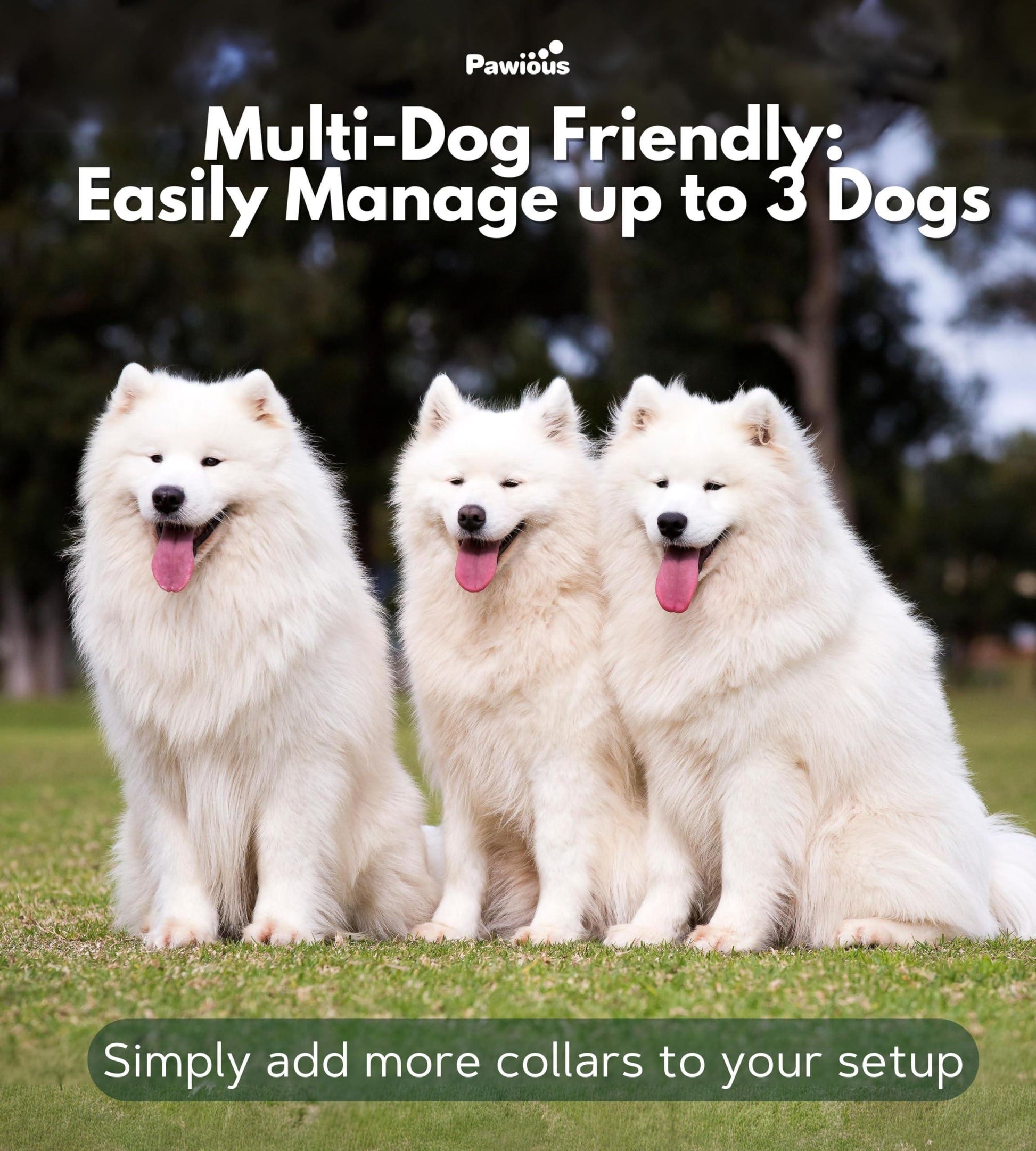 PAWIOUS High Precision Wireless Containment System for Up to 1 Acre for Medium to Large Dogs 6" to 23" Neck For Pet With Love