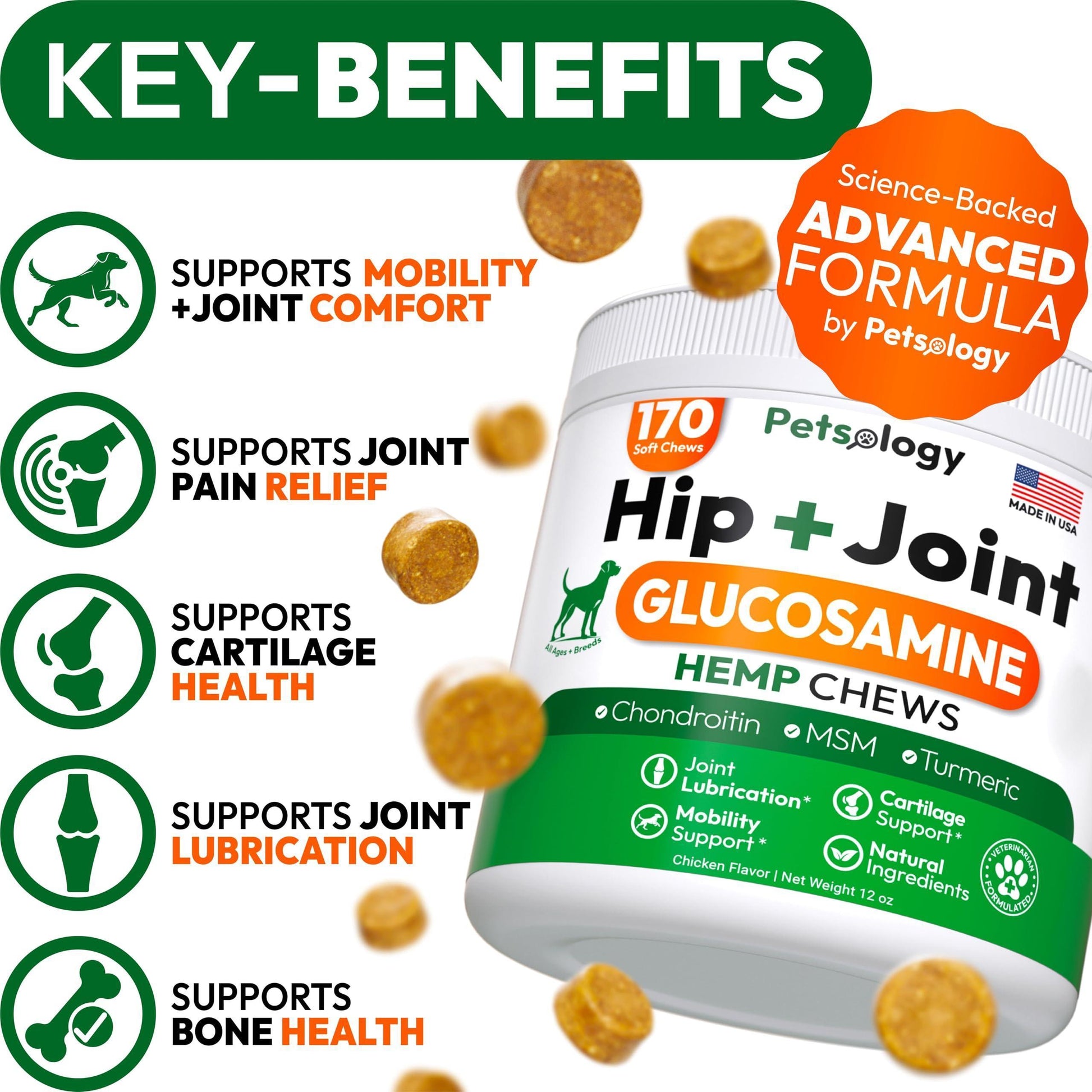 PETSOLOGY Hemp Hip and Joint Mobility Support Supplement for Dogs 170 Chews For Pet With Love