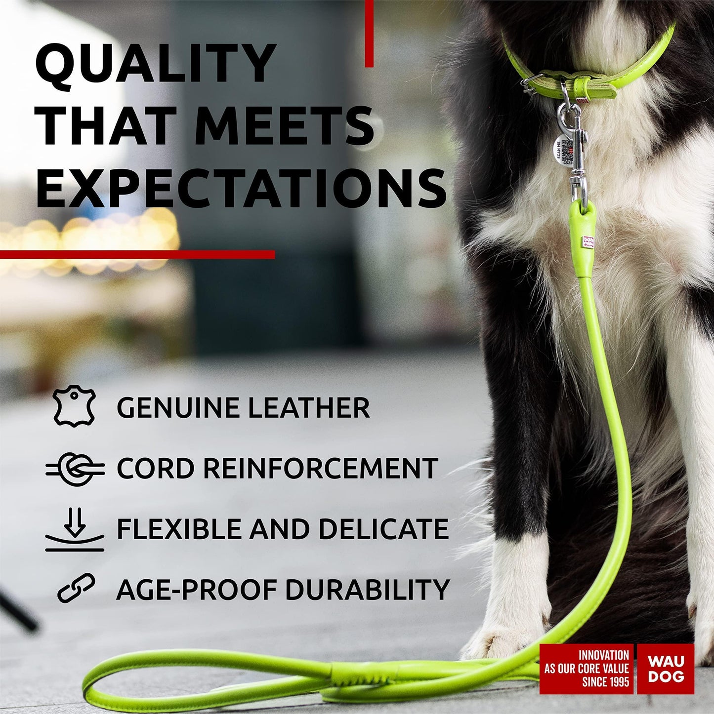 WAUDOG Rolled Leather Dog Leash 4Ft * 0.4 in for Small Medium and Large Dogs For Pet With Love