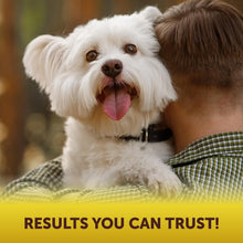 Load image into Gallery viewer, Kinpur Pet Care Scoot Stopper Anal Gland Support for Dogs 180 Chews

