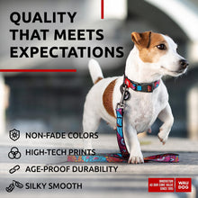 Load image into Gallery viewer, WAUDOG Nylon Dog Leash for Small Dogs and Medium Dogs 4 Ft   Strong Dog Leash
