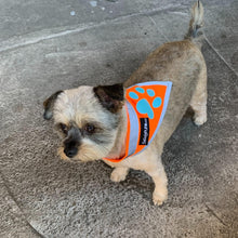 Load image into Gallery viewer, SafetyPUP XD HiVisibility Reflective Blaze Orange Dog Bandana  SMALL
