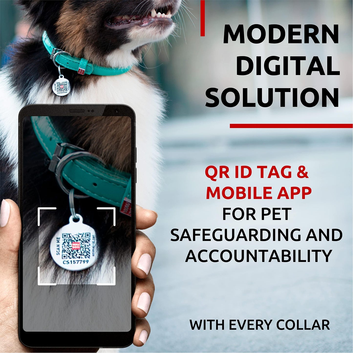 WAUDOG Ultra Soft Rolled Leather Dog Collar for Small Dogs. Soft Padded Dog Collar For Pet With Love