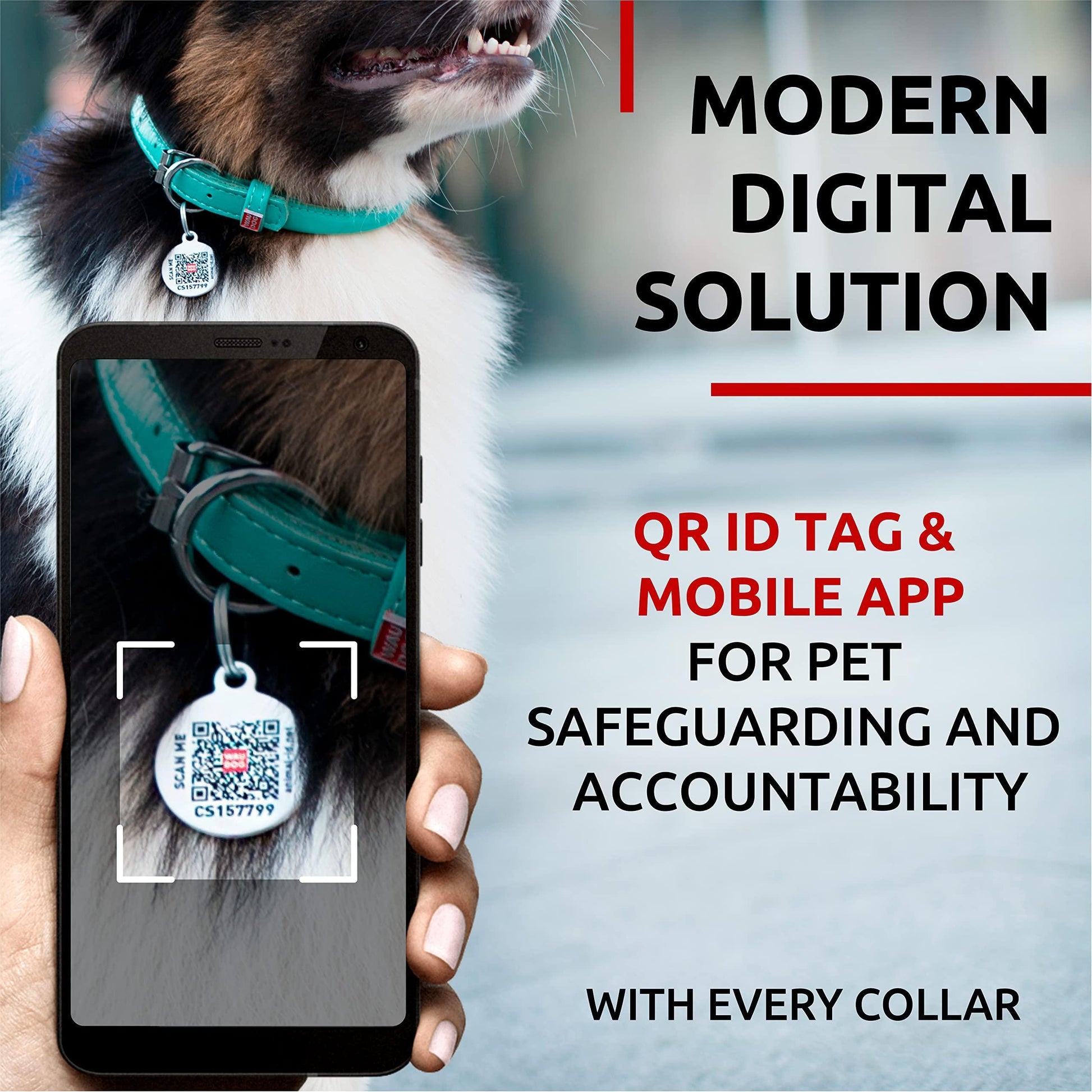 WAUDOG Ultra Soft Rolled Leather Dog Collar for Small Dogs. Soft Padded Dog Collar For Pet With Love