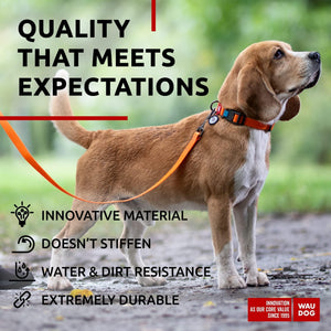 Waterproof Dog Leash 4 Ft   6 Ft   Anti Slip Dog Leash for Large Dogs Small and